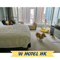 W HK 寵物酒店 由Staycation進化到Dogcation🐶