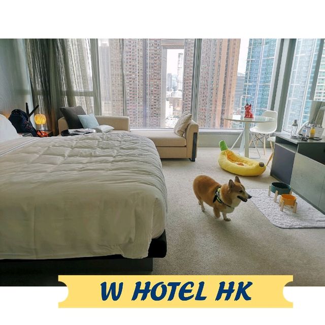 W HK 寵物酒店 由Staycation進化到Dogcation🐶