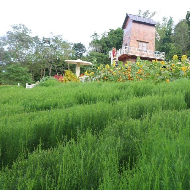 Sirao Garden
