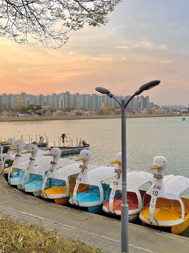 < 대구, 봄 향기 가득 수성못>
