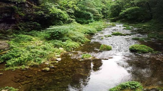 张家界的金鞭溪是张家界国家森林公园最早开发的景区之一，全长7