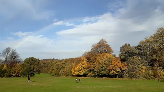 The Centre In The Park