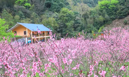 Yangming Mountain National Forest Park
