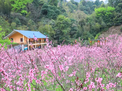 陽明山國家森林公園