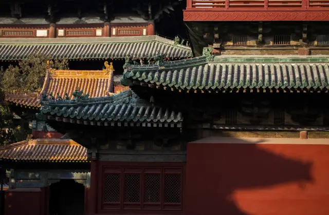 Buddhist Culture Experiences in Zhengding