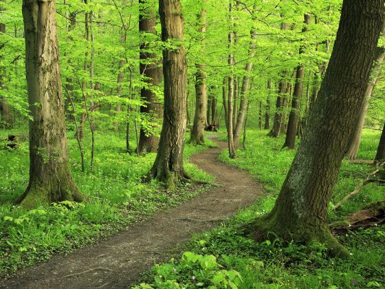 Guiyang Forest Park