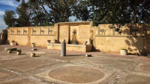 Ruines de Carthage
