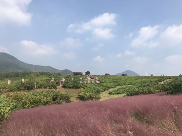 Wawushan Mountain Area