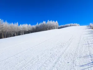 明月島滑雪場