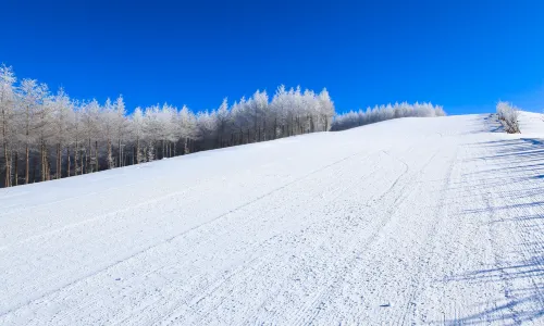Mingyuedao Ski Field