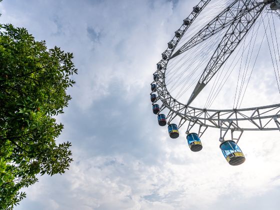 Shishi Shimao Skyscraper Ferris Wheel