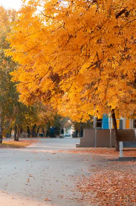 Dragon Palace Bengbu