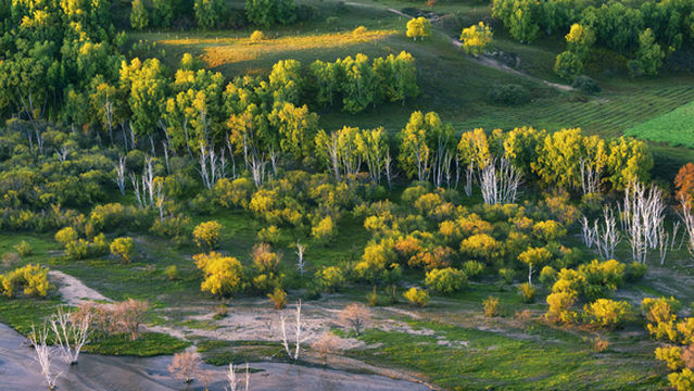 Hexigten Banner Grassland
