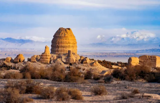 鎖陽城門票 + 觀光車票成人