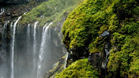 日光東照宮+伊呂波坂+中禪寺湖+華嚴瀑布一日遊【包車遊】