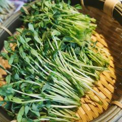 Lao Wang Guo Wu Indian Restaurant (SiChuan North Road) User Photo