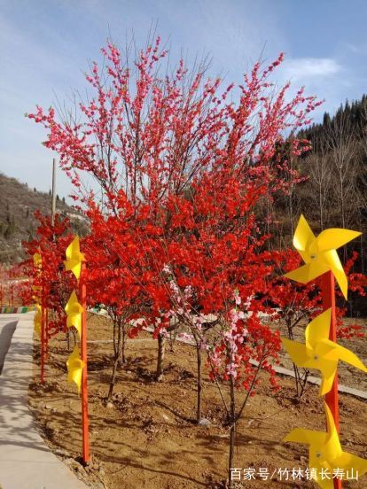 죽림 장수산