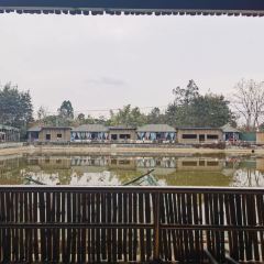 七彩阳光 User Photo