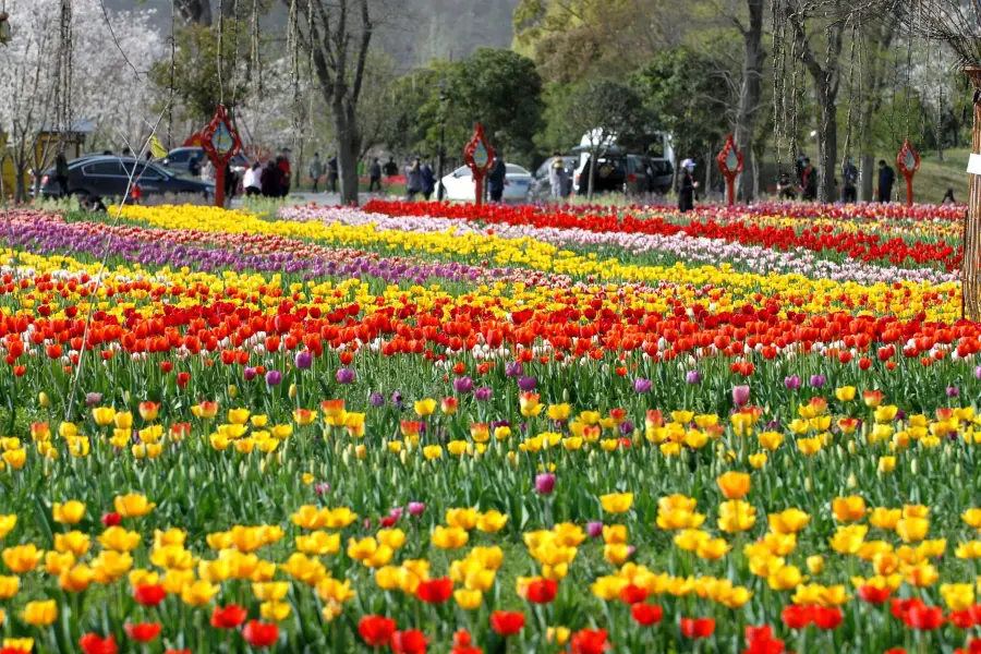 Huanglong Yihao Ecological Garden