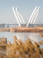 Fenghe Wetland Park