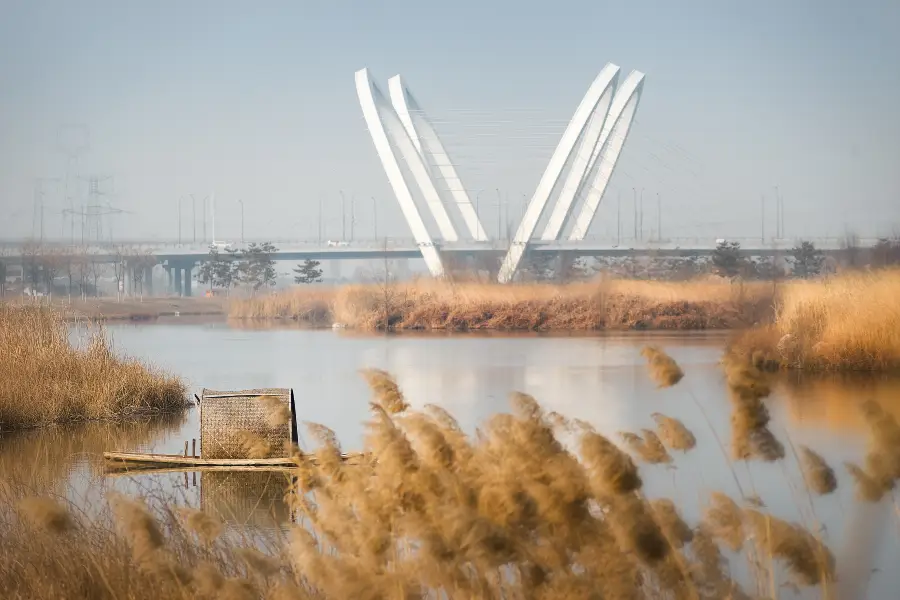 Fenghe Wetland Park