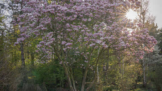 Guanwu National Forest Recreation Area