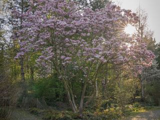 苗栗縣警察局警察隊附近住宿