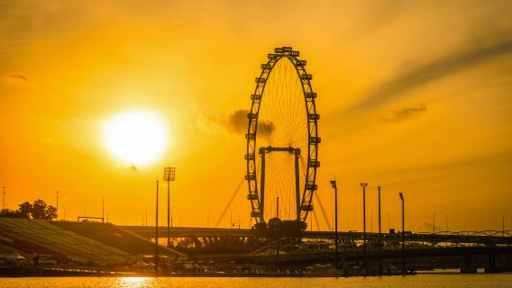 哈芝巷+克拉碼頭+濱海灣花園+魚尾獅公園+小印度【包車普通話】