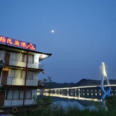 杨氏鱼港 User Photo