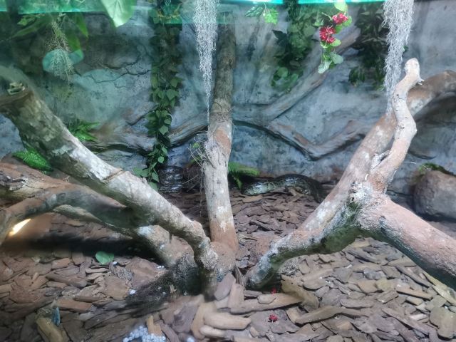 Hainan Tropical Wildlife Park