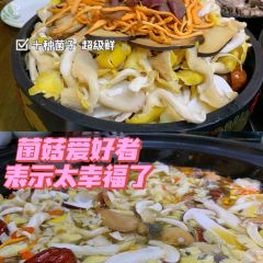 珍菌园·野生菌主题餐厅(告庄店) User Photo