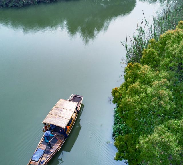 Shajiabang Scenic Area
