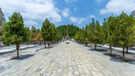 懿德太子墓+幹陵+法門文化設施一日遊【經典西線/上門接送】