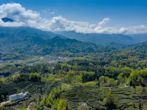 The Xixiang Tea Garden