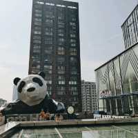 Adorable pandas in Chengdu