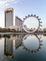 Jiangnan Moore Ferris wheel