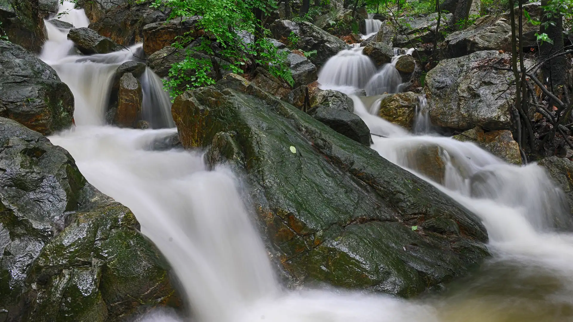 Hotels near Polong Stream