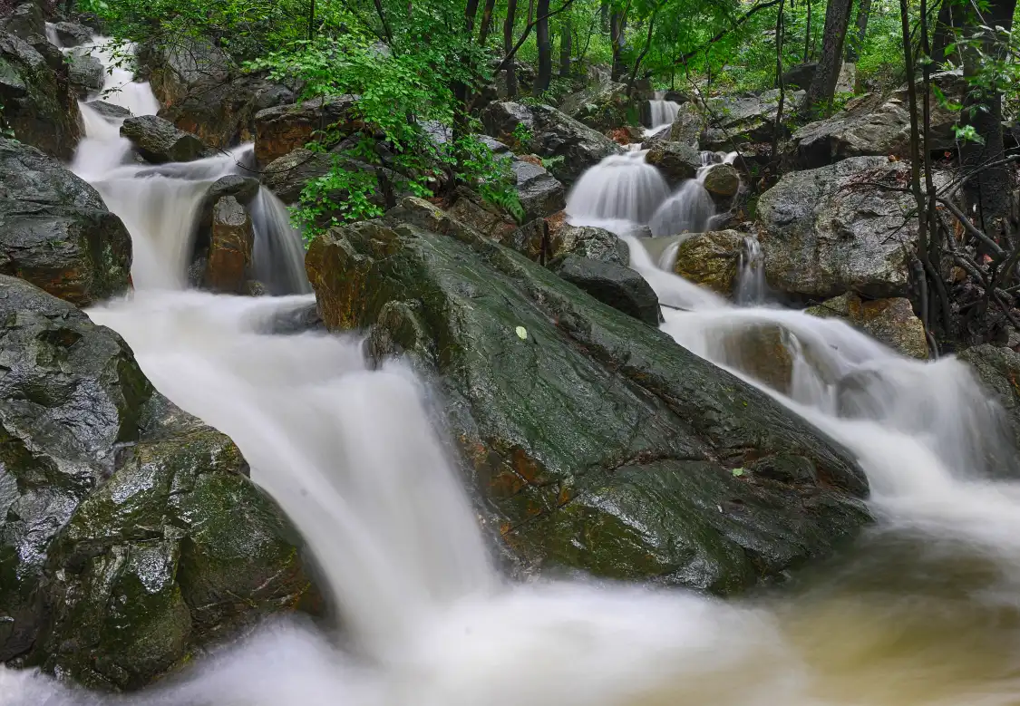 Hotels near Polong Stream