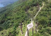 【2026東涌行山】5條東涌行山路線資訊！心經簡林/彌勒山郊遊徑/昂坪棧道/東梅古道/東澳古道