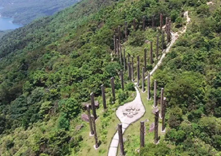 【2026東涌行山】5條東涌行山路線資訊!心經簡林/彌勒山郊遊徑/昂坪棧道/東梅古道/東澳古道