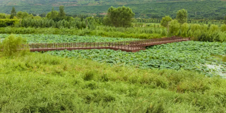 百裡畫廊千畝荷塘