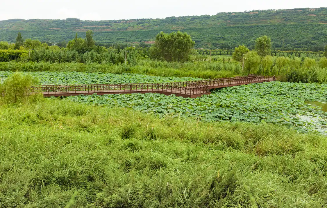 Các khách sạn gần Lotus Pond of Baili Gallery