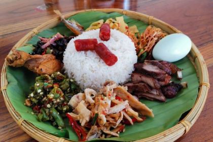 AI HUA MEI WEI SHOU ZHUA FAN