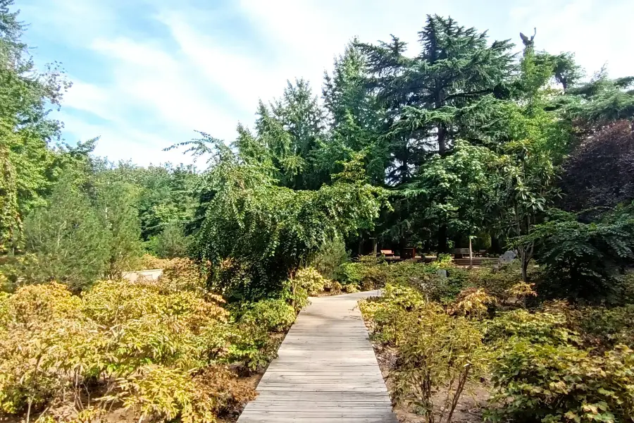 Peony Garden, Bishagang Park