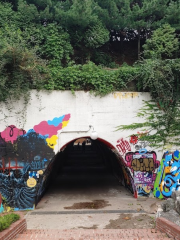 Sinchon Mural Tunnel