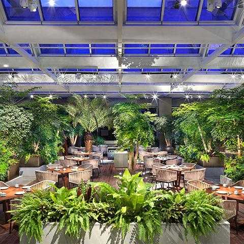 天津東凱悦酒店·悦園中餐廳·Wok in the Garden
