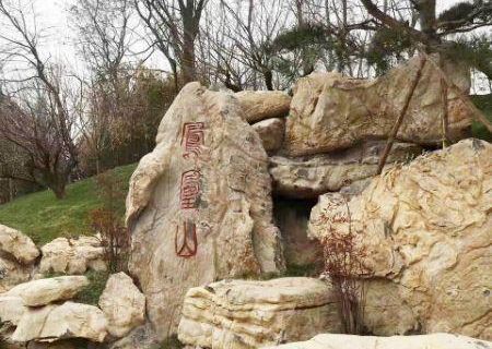 Phoenix Mountain Heritage Park