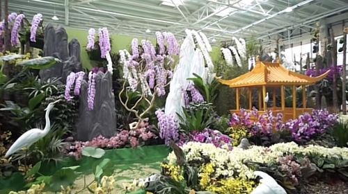 Shanghe Flower and Seedling World