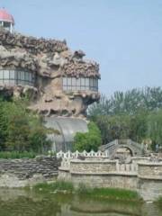 Proterozoic Rare Stone Forest