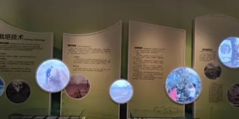 洛川蘋果博覽館